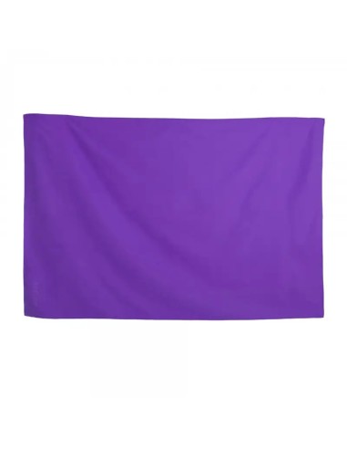 SOFTEE ASCIUGAMANO IN MICROFIBRA VIOLA 140X70 CM 24237.060 | Ofertas de padel