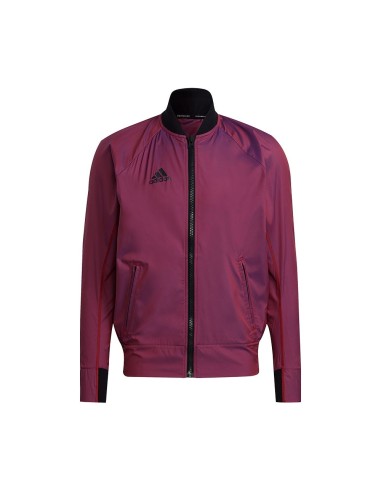 Chaqueta Tennis Vrct Pb Adidas Gp3681 | Ofertas De Pádel